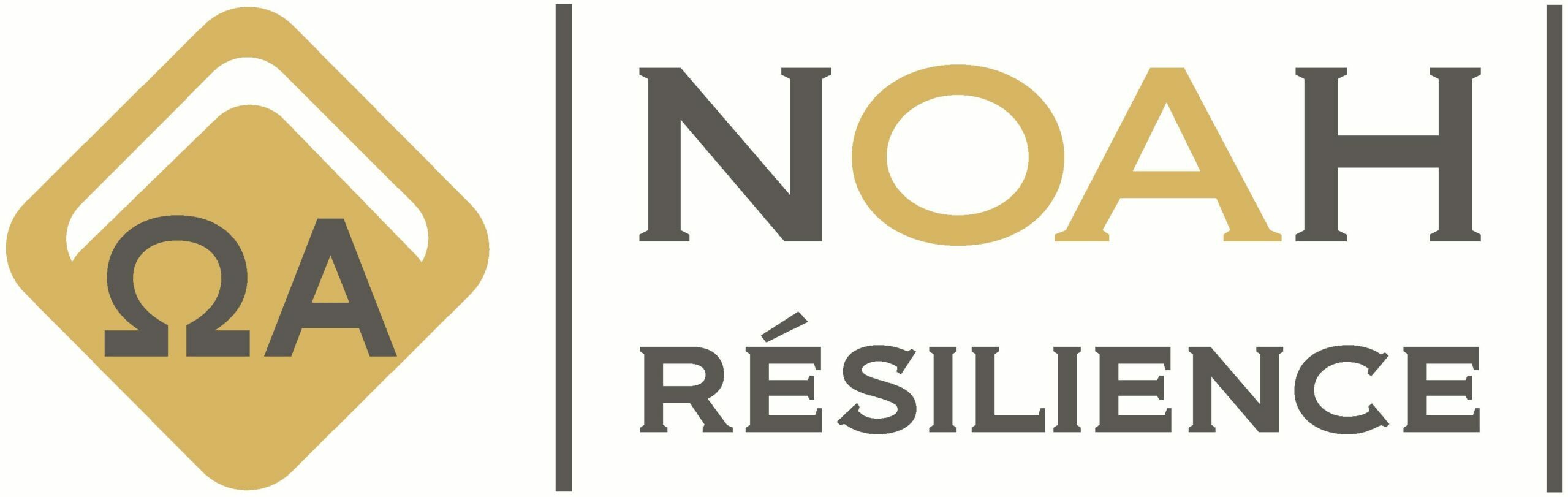Boutique NOAH Résilience